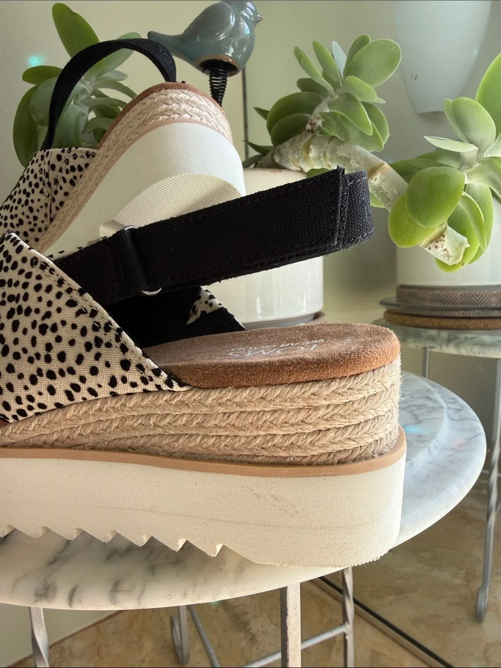 TOMS Leopard-Print Crisscross Slingback Sandals in Black and Cream - Picture 7 of 7